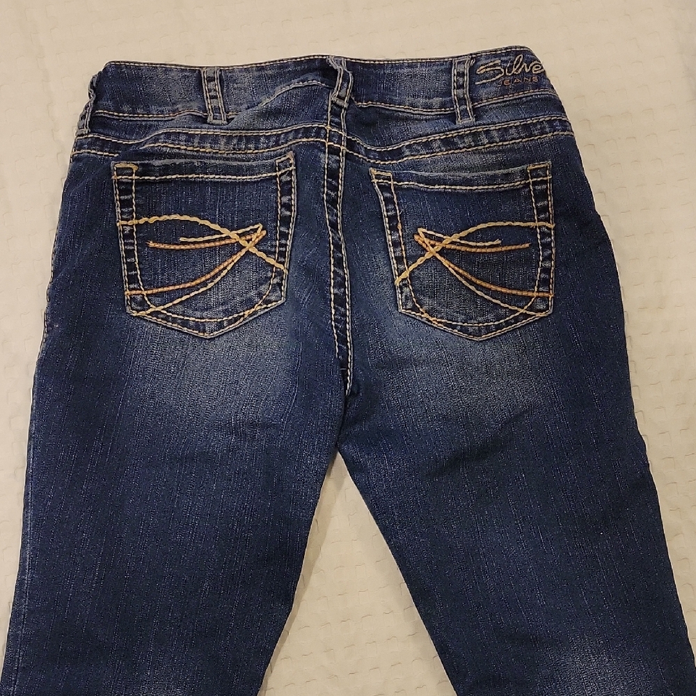 Women's Silver Capri, Size 30